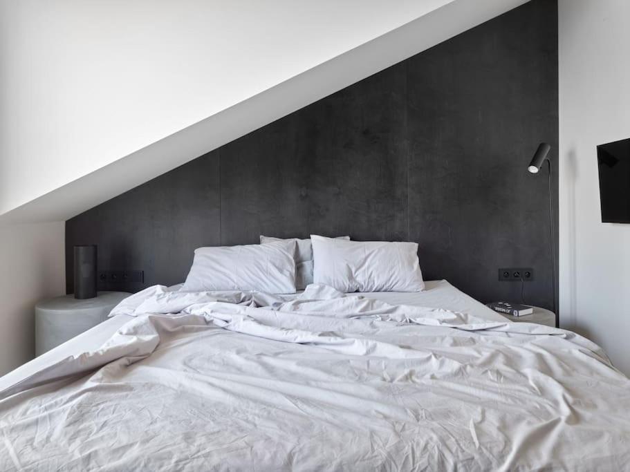 公寓 Rooftop Penthouse With Terrace, Prime Location 布拉格